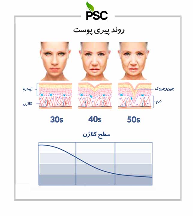 روند پیری پوست